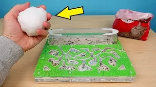 How Will Ants react to Snow and Cat food? A Snow inside an Ant Farm! alex boyko