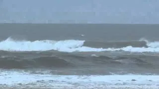 Lundi 11 Mars 11H30 - Lacanau Surf Report Vidéo