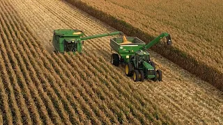 Corn Harvest At A New Farm