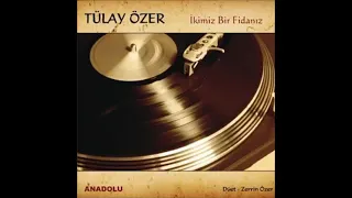 Tülay Özer /  İkimiz Bir Fidanız (1978)