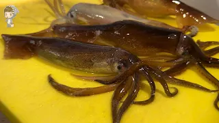 [Mukbang] Amazing live Squid Cutting Sashimi - Korean street food
