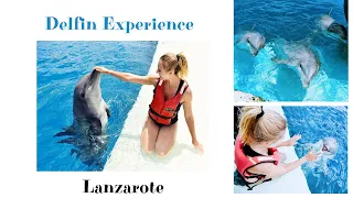 Delfin Experience in Rancho Texas Park / Lanzarote🐬