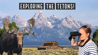 Wildlife, Camping, and Incredible Views in the Grand Teton National Park!