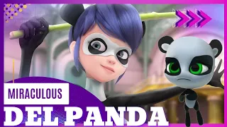 Ladybug riceverà una NUOVA MIRACLE BOX? Il MIRACULOUS del PANDA apparirà nei prossimi episodi?🐼