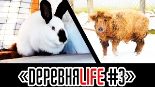 ДеревняLIFE #3. John Deere. Мангалица. Калифорнийская Кролики. Вьетнамские Вислобрюхие