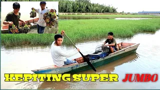 CARA MENJEBAK KEPITING DAN HASILNYA MEMUASKAN // BINTANG SAMBOJA