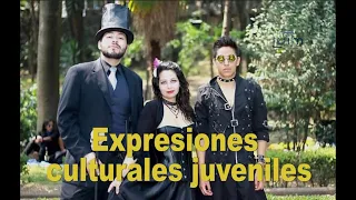 Expresiones culturales juveniles