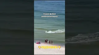 Нападение акулы 😱 на пляжу