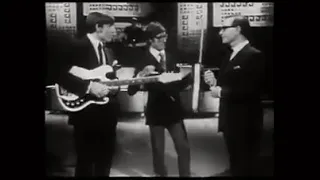 The Shadows (Hank Marvin & Bruce Welch) Interview 1967