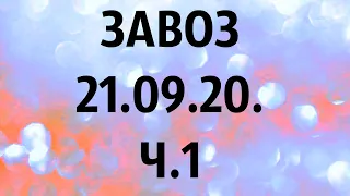 🌸Продажа орхидей. ( Завоз 21. 09. 20 г.) 1 ч. Отправка только по Украине. ЗАМЕЧТАТЕЛЬНЫЕ КРАСОТКИ👍