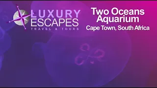 The Two Oceans Aquarium, Cape Town, South Africa