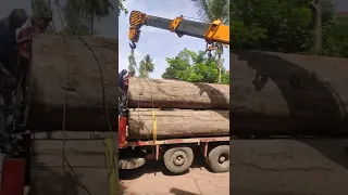 #woodlog #log #wood #crane #craneloading #site #ಮನೆ #shorts #plot #house #shortsvideo #construction