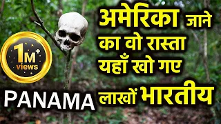 Donki क्या होता हैं ? Story of Panama Jungle #panamajungle #americadunki #usamexicoborder #srkmovie