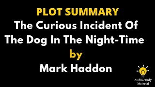 Plot Summary Of The Curious Incident Of The Dog In The Night-Time By Mark Haddon