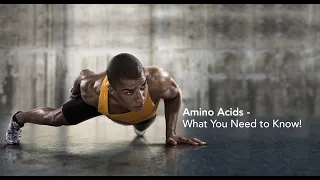 WEBINAR:  Amino Acids - What You Need to Know!