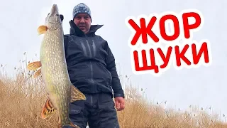 ХИТРАЯ СНАСТЬ на щуку В ДЕЛЕ!!! Рыбалка!