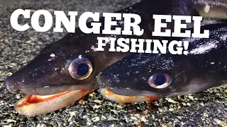 Fishing For Conger Eel, tips and tactics