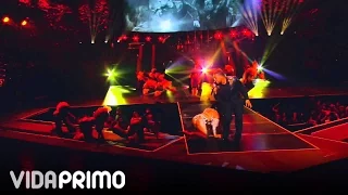 DON OMAR: SALVAJE @ HECHO EN PUERTO RICO