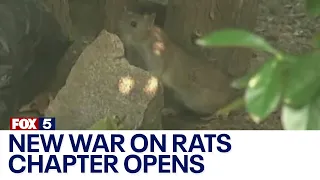 NYC opens new chapter in its war on rats