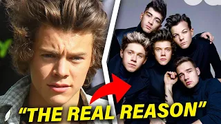 The Real Reason Why One Direction Broke Up!