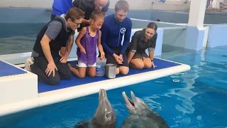 Mayra Meets Winter & Hope and Gets Surprise Visit from Dolphin Tale Stars