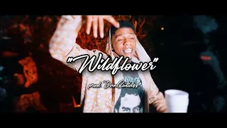 [FREE] EBK Young Joc x EBK Juvie Ju x EBK Jaaybo Sample Type Beat "Wildflower" (prod.@dancutlass)