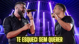 Te Esqueci Sem Querer - Henrique & Juliano