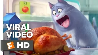 The Secret Life of Pets VIRAL VIDEO - Meet Chloe (2016) - Jenny Slate Animated Movie HD
