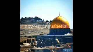 Иерусалим, Тимур Муцураев