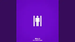 Walls (feat. Skrizzly Adams)