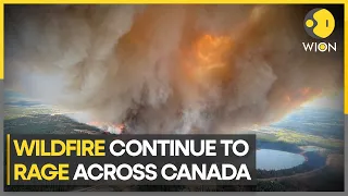 Canadian wildfire emissions hit record high as smoke reaches Europe | WION Newspoint | Latest News