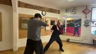 Choy Lee Fut “Switch Horse” 蔡李佛“换马￼￼”运用训练