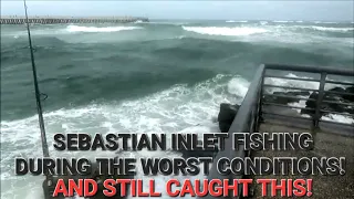 Sebastian Inlet Fishing! Despite The Worst Conditions Still Caught THIS!