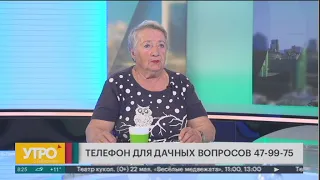 Дачные вопросы. Утро с Губернией. 14/05/2021. GuberniaTV