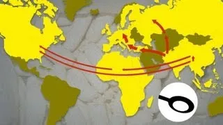 Le trafic de drogue international