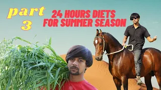 24 hours horse Diet summer season| horse Diets | best diets for horses.