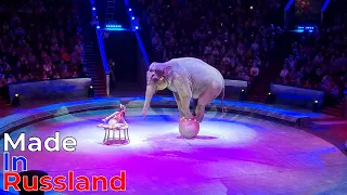 A Great Performance at the Great Moscow State Circus 🔥🔥🔥 Hurry Up!!!🤡A New Show!!!