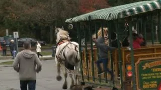 People jump off runaway horse-drawn trolley