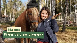 Fryser dyra om vinteren? | Livet på Barnas Gård | Episode 6