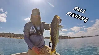 Fall Transition BASS FISHING | Lake Camanche
