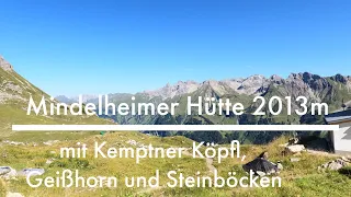 Mindelheimer Hütte 2013m  // Kemptner Köpfl, Geißhorn und Steinböcke // Allgäuer Alpen
