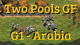 Two Pools Grand Final vs Tatoh + Viper | Game 1 Arabia