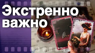 ❗️Ближайшие События по Судьбе... 🌷♣️ таро прогноз ♥️ знаки судьбы