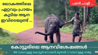 Kottoor elephant rehabilitation center kappukkad Trivandrum. ആനകളെ അടുത്തറിയാൻ പോകാം കോട്ടൂരിലേക്ക്.