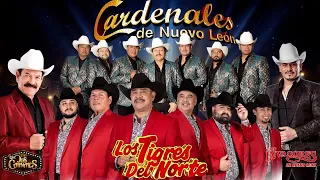 Los Huracanes del Norte, Los Invasores de Nuevo León, Los Tigres Del Norte, Ramon Ayala, Cardenales