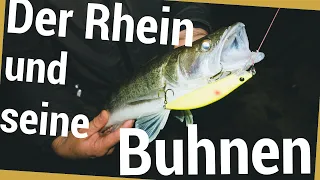 Mit Wobbler auf Zander am Rhein in den Buhnen | Kurztrip nach Feierabend | LifeLikeLures