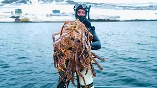 Without money in Norway. We found a cage with crabs