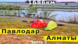 На Велосипеде 1686 км Павлодар - Алматы .Часть 2