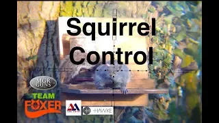 Squirrel Control Air Arms S510