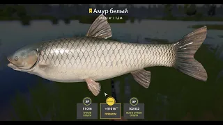 Русская Рыбалка 4/ Russian Fishing 4 - Bear Lake, Grass Carp Trophy,  11.05.2024